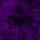 Dxrk ダーク - RAVE (slowed+rewerb)