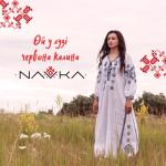 album image Ой у лузі червона калина Ой, у лузі червона калина - Single