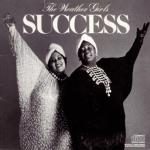 album image It's Raining Men Success