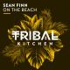 Sean Finn - On the Beach