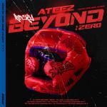 album image The King BEYOND : ZERO