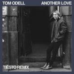 album image Another Love (Tiësto Extended Remix) Another Love (Tiësto Remix) - Single