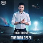 album image Yıkamazsin (TRmusic) Yıkamazsın (Pubg Mobile Türkiye) - Single
