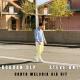 Bogdan DLP, STEVE ANT - Canta Melodia Aia Hit