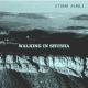 Etibar Asadli feat. Alim Qasimov - Walking in Shusha (feat. Alim Qasimov)