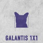 album image 1x1 1x1 - Single