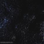 album image the foundations of decay The Foundations of Decay - Single