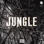 album image JUNGLE JUNGLE - Single