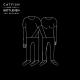 Catfish and the Bottlemen - Tyrants