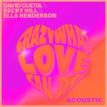 album image Crazy What Love Can Do (Acoustic) Crazy What Love Can Do (Acoustic) - Single