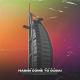 YOLi, MrBo - Habibi Come to Dubai
