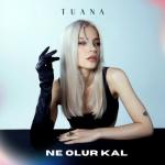album image Ne Olur Kal Ne Olur Kal - Single
