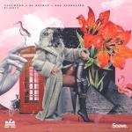 album image Blindly Blindly - Single