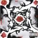Red Hot Chili Peppers - Suck My Kiss