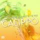 Steve Forest & Te Pai - CALIPPO