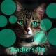 Nightcore - Teacher's Pet (Melanie Martinez)