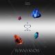 IRRIS - WANNA KNOW (Instrumental)