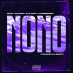 album image WFM (Was für Mathe) NoNo (feat. KoyDaNephew) - Single