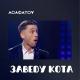 Сергій Асафатов - Заведу кота