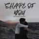 👑new_opera👑 - Shape of You (slow)