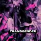 Crystal Castles - Transgender (VVITCH Remix) - Crystal Castles - Transgender (VVITCH Remix)