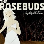 album image When the Lights Went Dim Night of the Furies