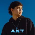 album image ANT Ant - Single