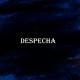 Lil Barberi, kriss rosalia - Despecha