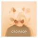 CRO - Ein Teil