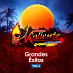 album image Entre Odio Y Amor Grandes Éxitos Vol.2