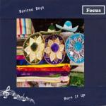 album image Bandoleros (From "Fast & Furious 6") Burn It Up