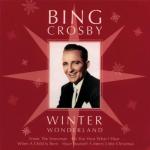album image I Wish You A Merry Christmas Winter Wonderland