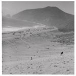 album image We Must Be Killers We Must Be Killers - Single