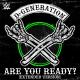 WWE - D-Generation X (DX)
