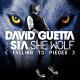 David Guetta feat. Sia - She Wolf (Falling to Pieces) [feat. Sia]