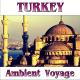 Fly Project - Gediz
