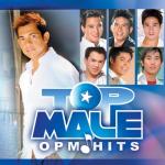 album image Got 2 Believe in Magic Top Male OPM Hits