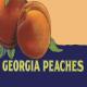 Bkd Karaoke Studio - Georgia Peaches (in the Style of Lauren Alaina) [Instrumental Version]