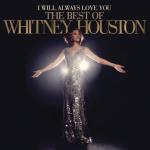 album image Never Give Up I Will Always Love You: The Best Of Whitney Houston