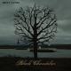 Biffy Clyro - Black Chandelier