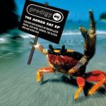 album image Mindfields (Baauer Remix) The Added Fat EP