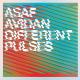 Asaf Avidan - Love It Or Leave It