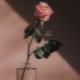 Mia Martina - Tu Me Manques (Missing You) (Remix).(AGRMusic)