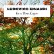 Ludovico Einaudi - Einaudi: Walk