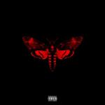 album image Love Me I Am Not a Human Being II