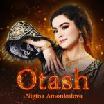 album image Оташ 2013 (www.kuhiston.com) Otash - Single