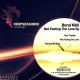 Boral Kibil - Not Feeling The Love (Original Mix) HD