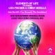 Elements of Life feat. Lisa Fischer, Cindy Mizelle - Into My Life (You Brought The Sunshine)