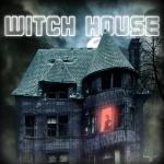 album image All You Leave Behind (ost Shameless 3.06) Witch House
