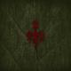 Wardruna - Helvegen